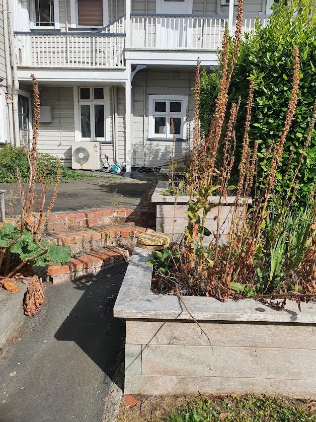Dunedin property maintenance