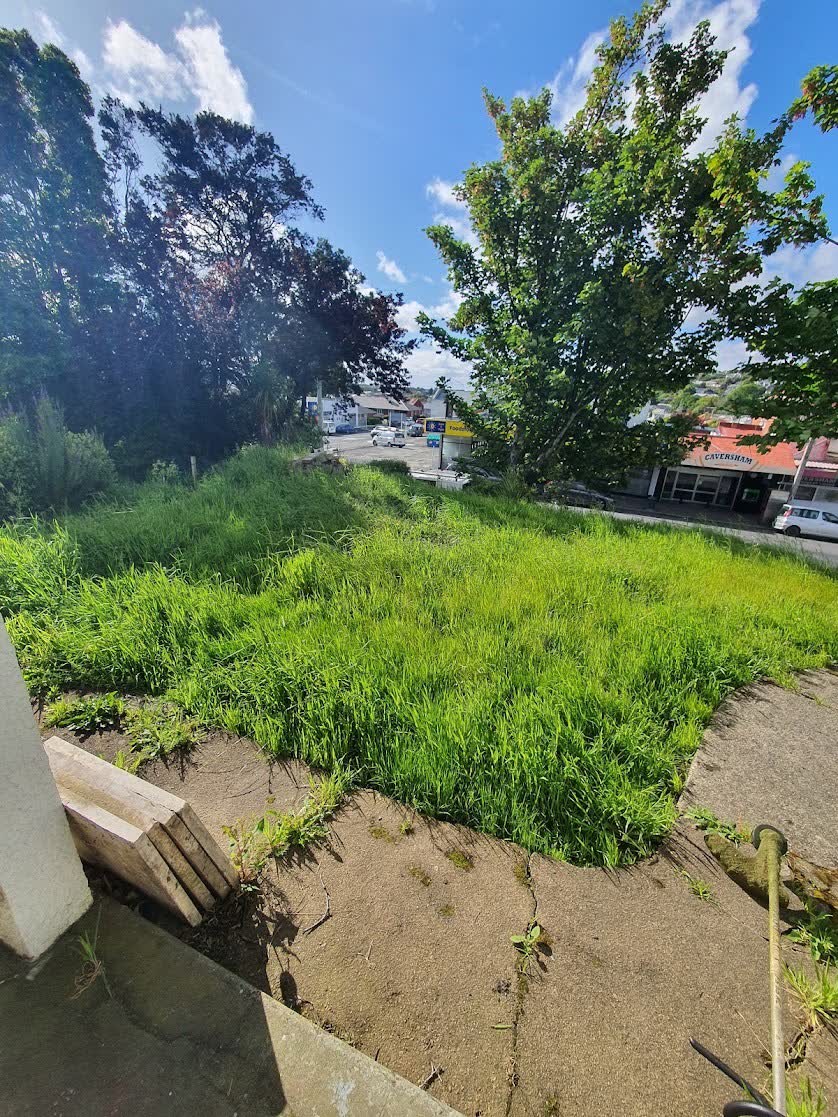 Lawn mowing and edging in Dunedin