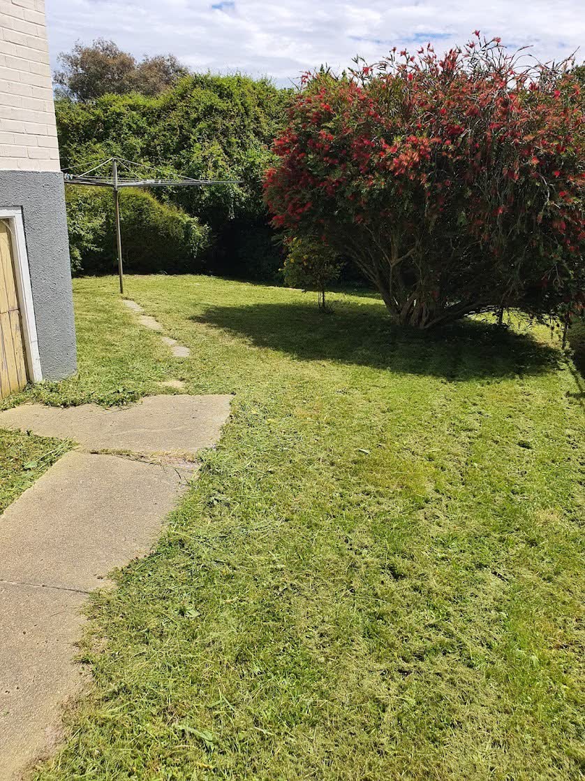 Garden maintenance and tidy-up
