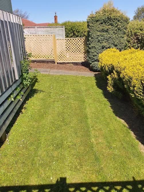 Exterior moss and lichen treatment