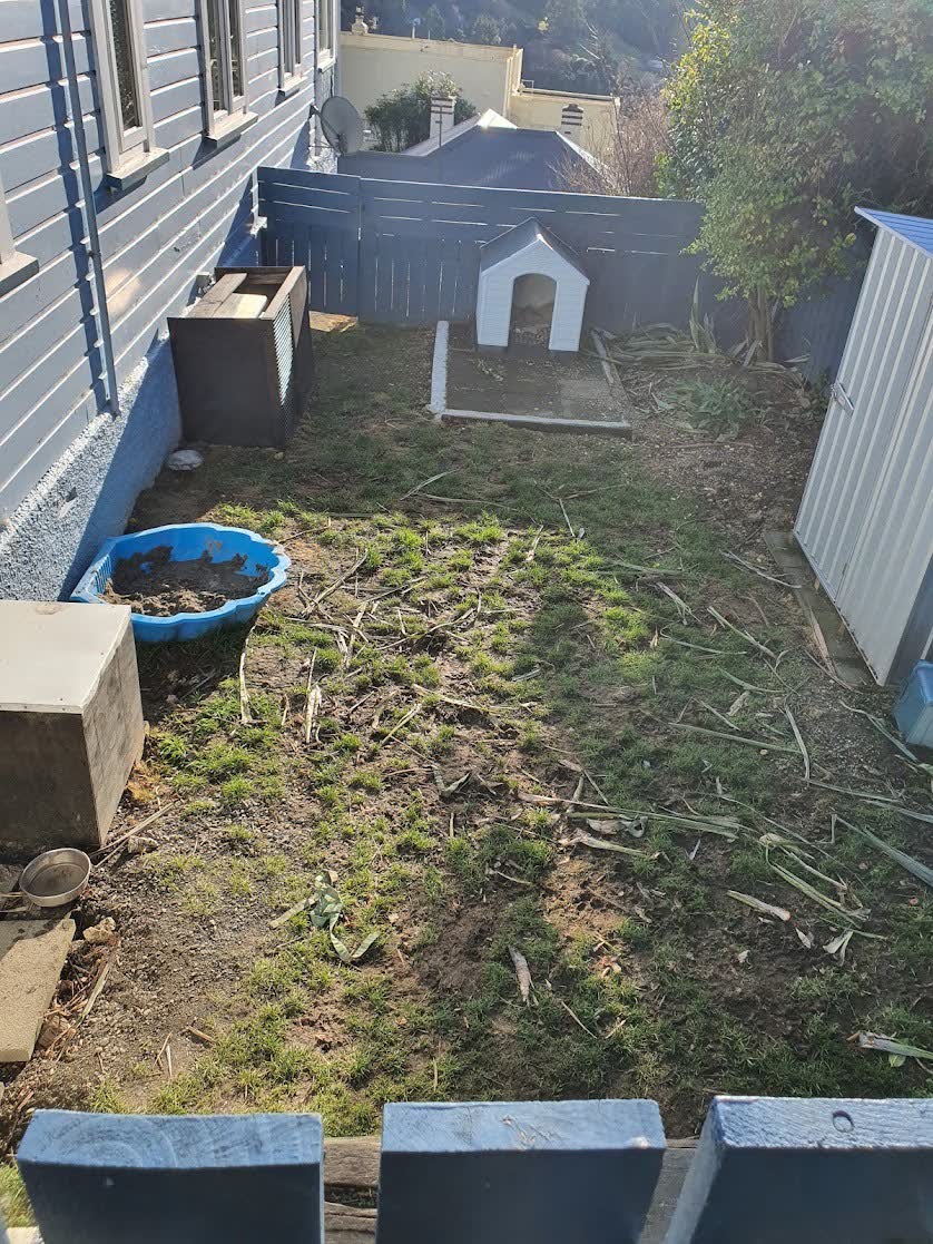 Gutter cleaning and maintenance