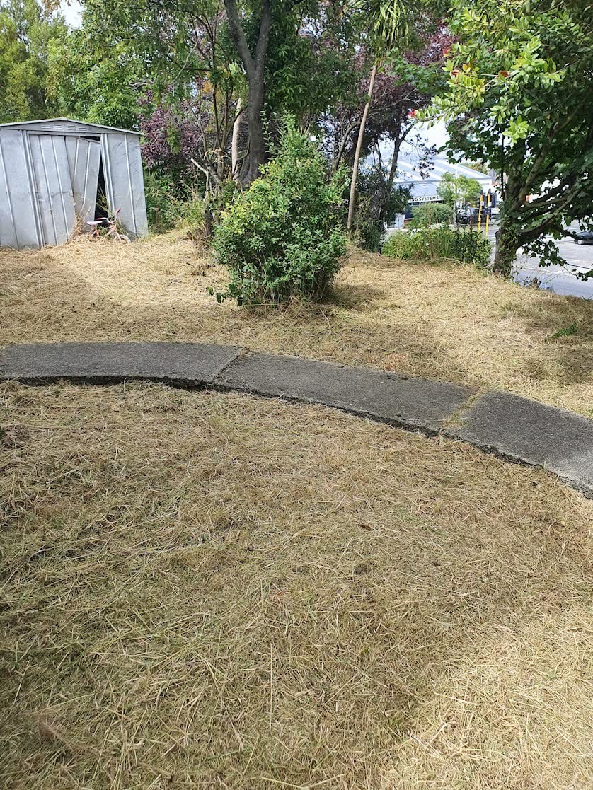 Dunedin property maintenance