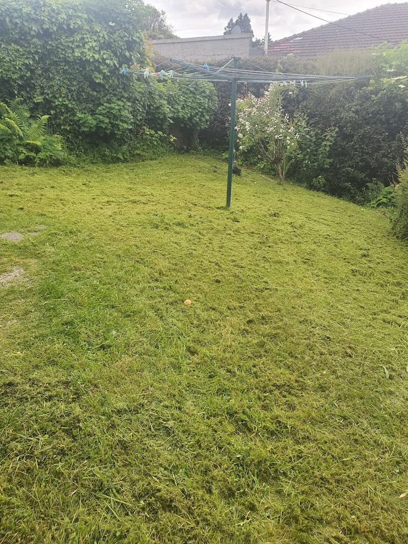Garden maintenance and tidy-up