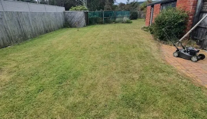 Mowing a lawn in Dunedin