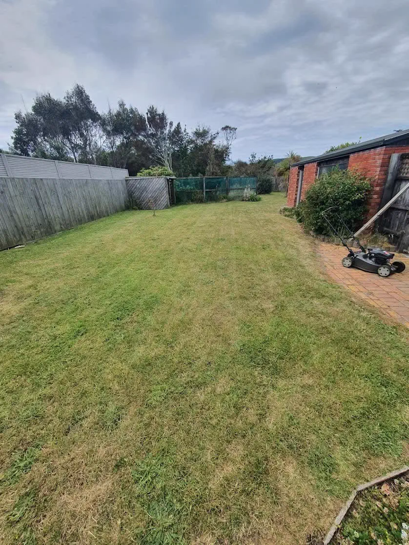 Mowing a lawn in Dunedin