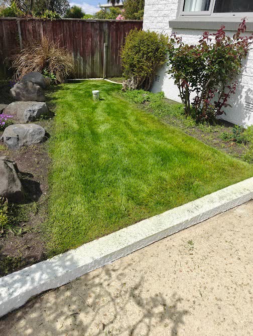 Gutter cleaning and maintenance
