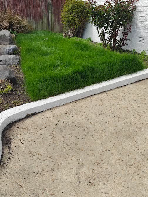 Landscaping and garden design