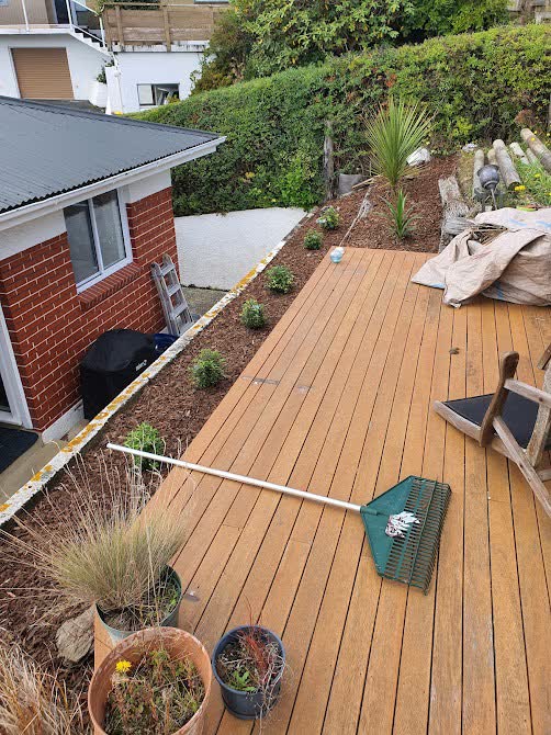 Garden maintenance and tidy-up