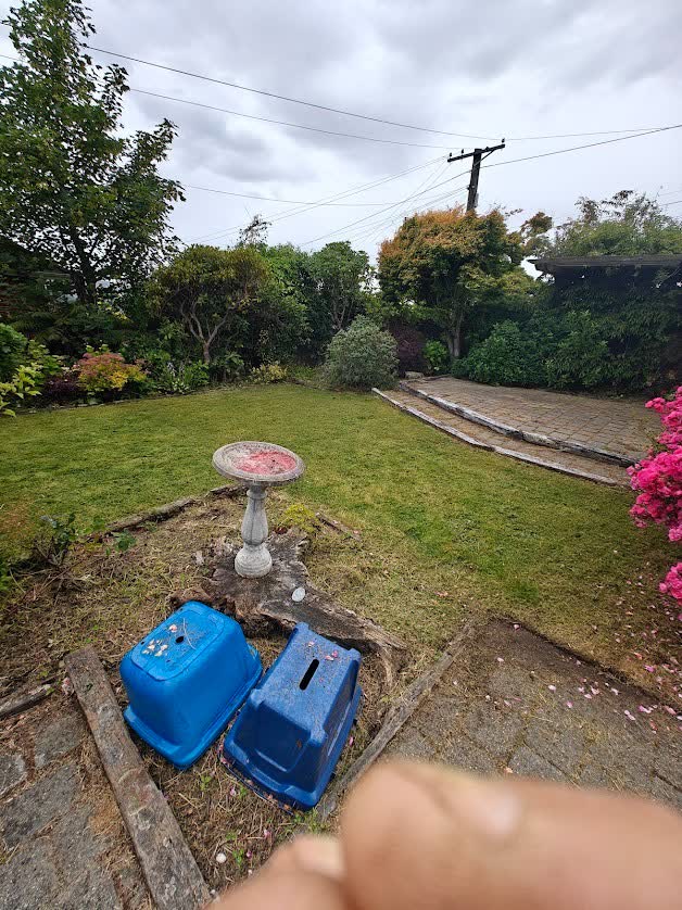 Landscaping and garden design