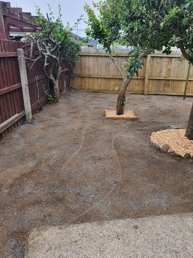 Dunedin property maintenance