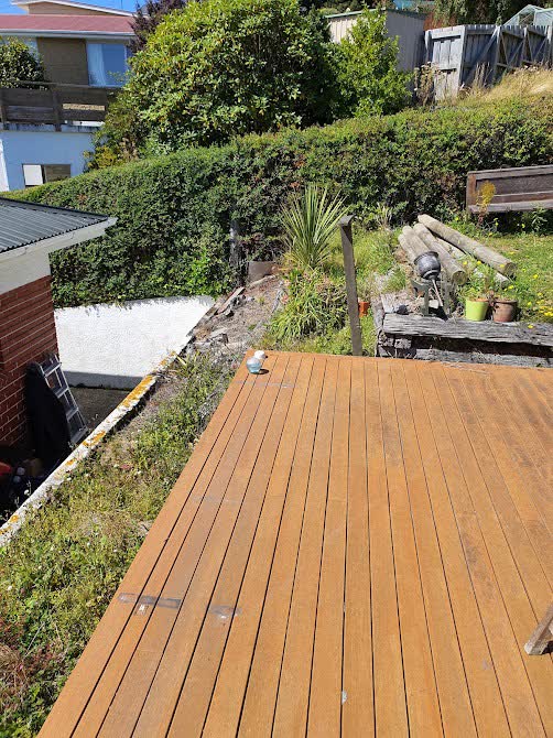 Exterior moss and lichen treatment