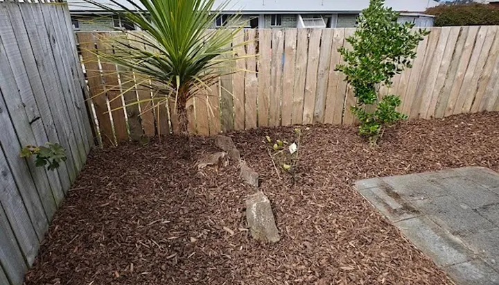 Newly mulched garden bed with fresh planting