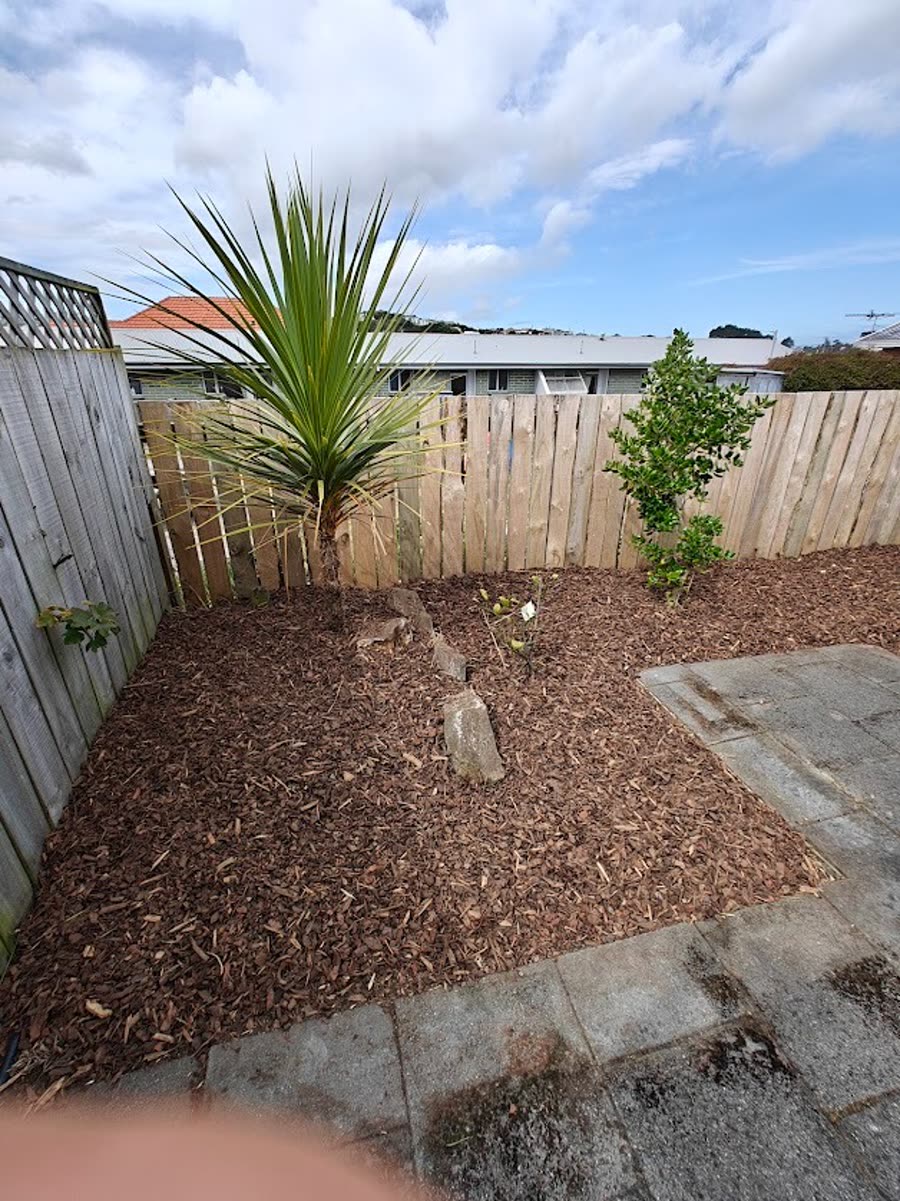 Newly mulched garden bed with fresh planting